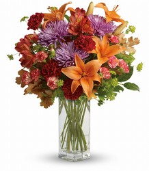 Fall Brights from Metropolitan Plant & Flower Exchange, local NJ florist